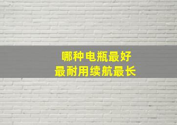 哪种电瓶最好最耐用续航最长