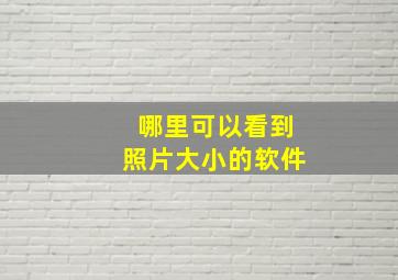 哪里可以看到照片大小的软件