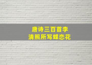 唐诗三百首李清照所写蝶恋花