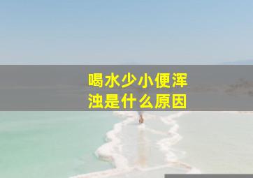 喝水少小便浑浊是什么原因