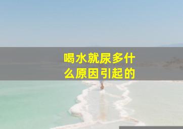 喝水就尿多什么原因引起的