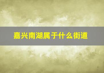 嘉兴南湖属于什么街道