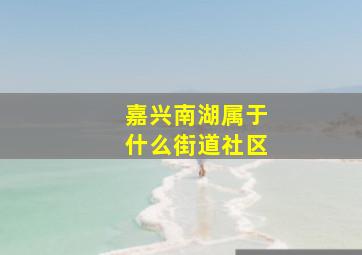 嘉兴南湖属于什么街道社区