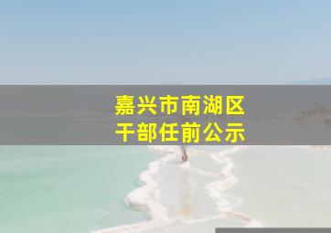 嘉兴市南湖区干部任前公示