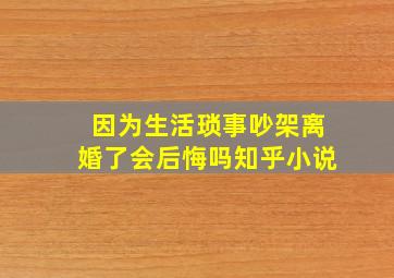 因为生活琐事吵架离婚了会后悔吗知乎小说