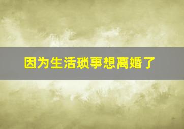 因为生活琐事想离婚了