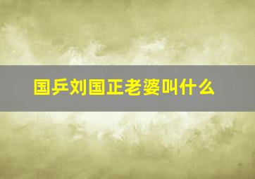 国乒刘国正老婆叫什么