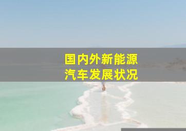 国内外新能源汽车发展状况