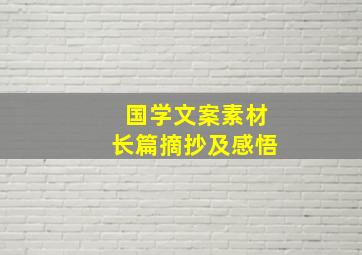 国学文案素材长篇摘抄及感悟