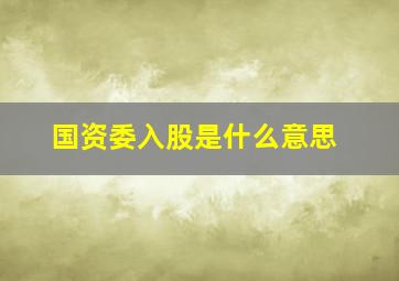 国资委入股是什么意思