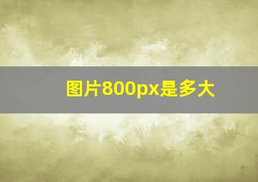 图片800px是多大