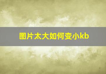 图片太大如何变小kb