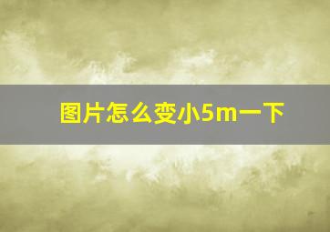 图片怎么变小5m一下