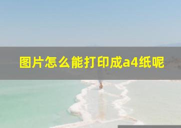 图片怎么能打印成a4纸呢