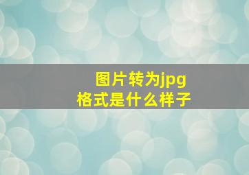 图片转为jpg格式是什么样子