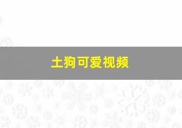 土狗可爱视频