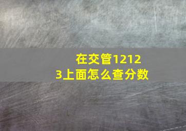 在交管12123上面怎么查分数