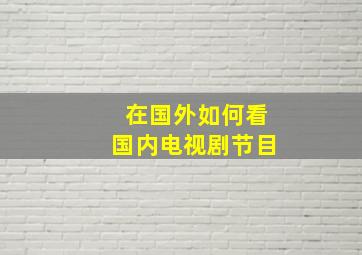 在国外如何看国内电视剧节目