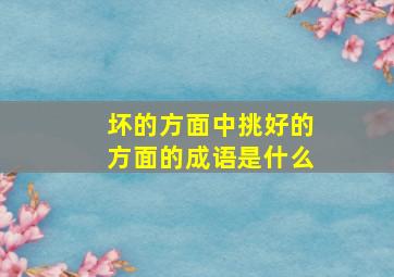 坏的方面中挑好的方面的成语是什么