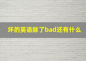 坏的英语除了bad还有什么