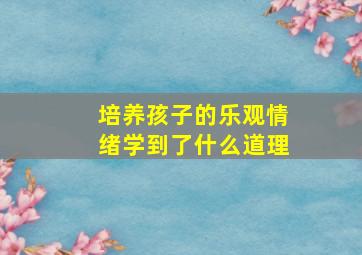 培养孩子的乐观情绪学到了什么道理