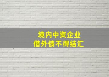 境内中资企业借外债不得结汇