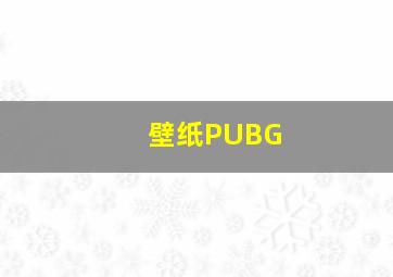 壁纸PUBG