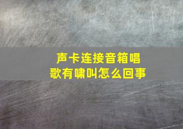 声卡连接音箱唱歌有啸叫怎么回事