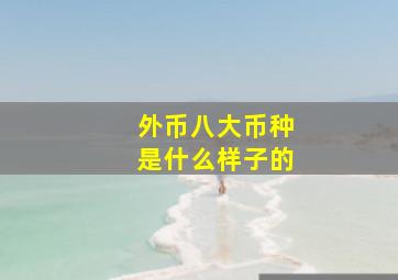 外币八大币种是什么样子的