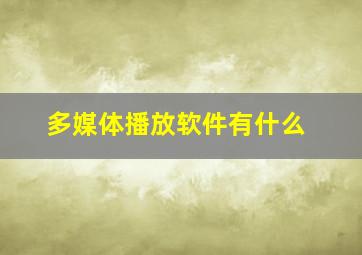 多媒体播放软件有什么