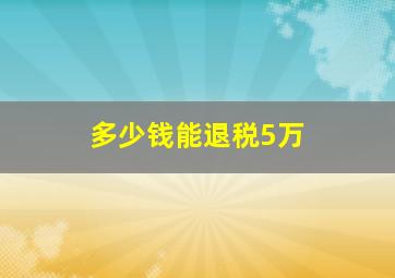 多少钱能退税5万