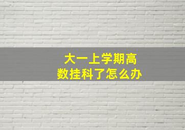 大一上学期高数挂科了怎么办