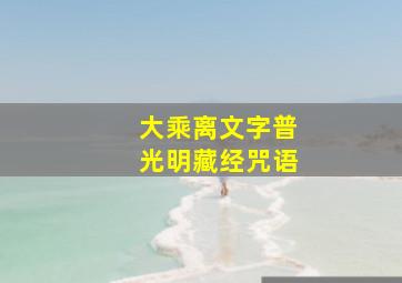 大乘离文字普光明藏经咒语