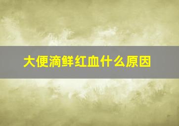 大便滴鲜红血什么原因