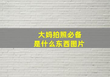 大妈拍照必备是什么东西图片