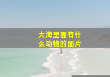 大海里面有什么动物的图片