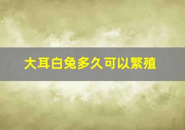 大耳白兔多久可以繁殖