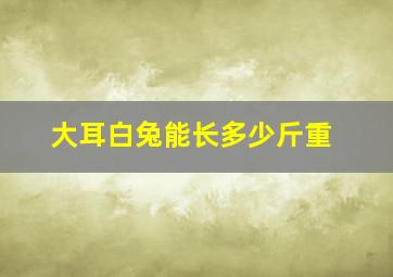 大耳白兔能长多少斤重