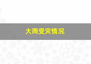 大雨受灾情况