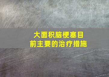 大面积脑梗塞目前主要的治疗措施