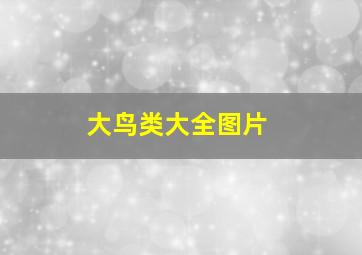 大鸟类大全图片