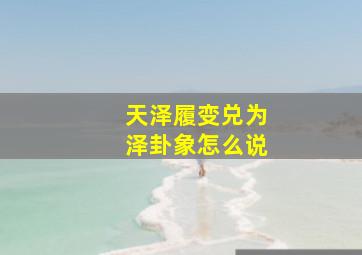 天泽履变兑为泽卦象怎么说