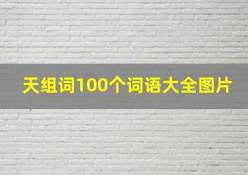 天组词100个词语大全图片