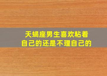 天蝎座男生喜欢粘着自己的还是不理自己的