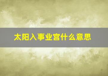 太阳入事业宫什么意思