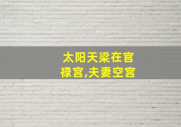 太阳天梁在官禄宫,夫妻空宫