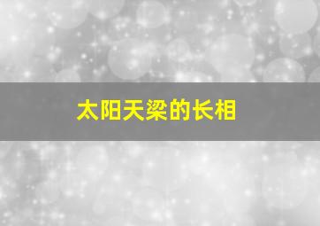 太阳天梁的长相