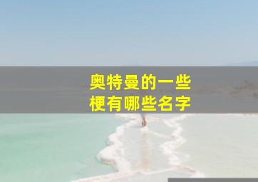 奥特曼的一些梗有哪些名字