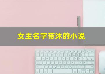 女主名字带沐的小说