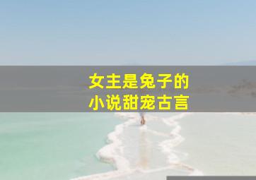 女主是兔子的小说甜宠古言